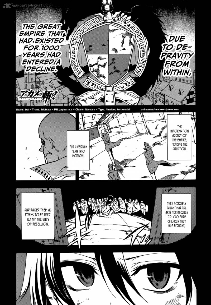 Akame Ga Kiru 33 1