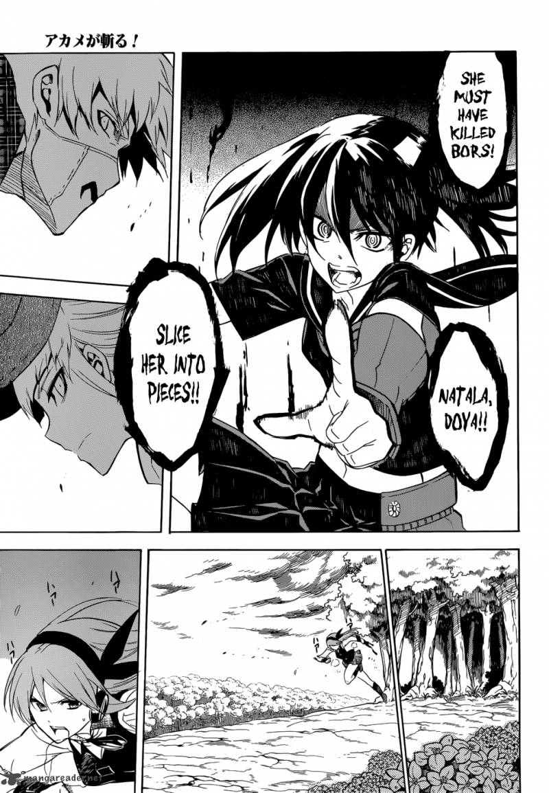 Akame Ga Kiru 33 33