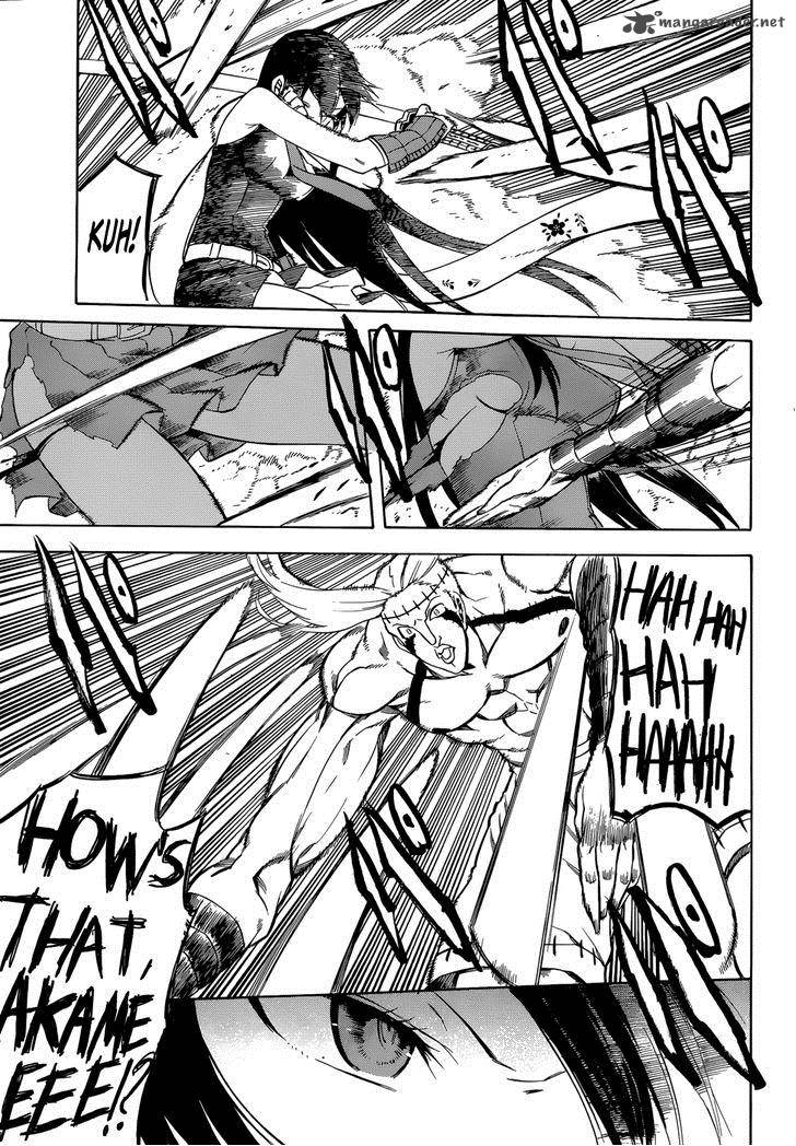 Akame Ga Kiru 35 30