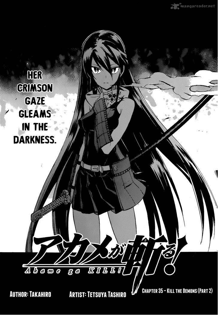 Akame Ga Kiru 35 4