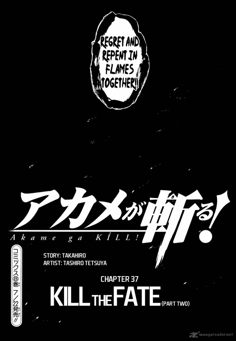 Akame Ga Kiru 37 3