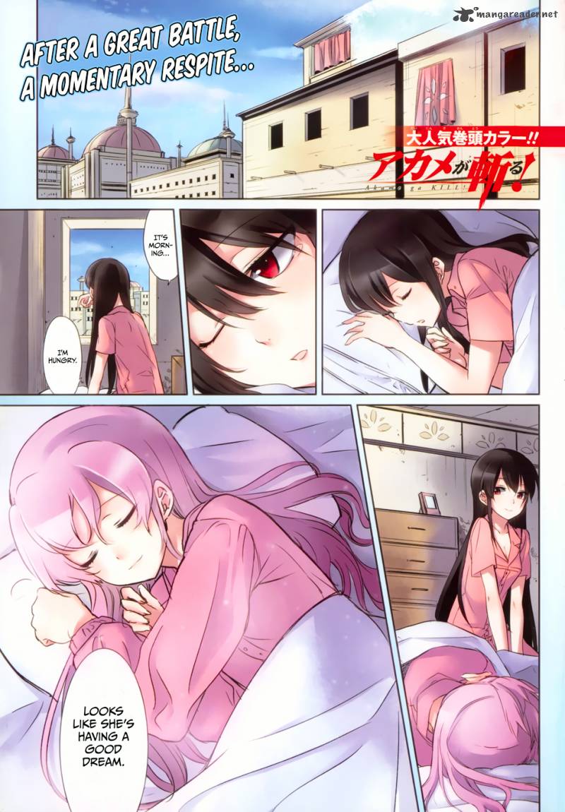 Akame Ga Kiru 39 1