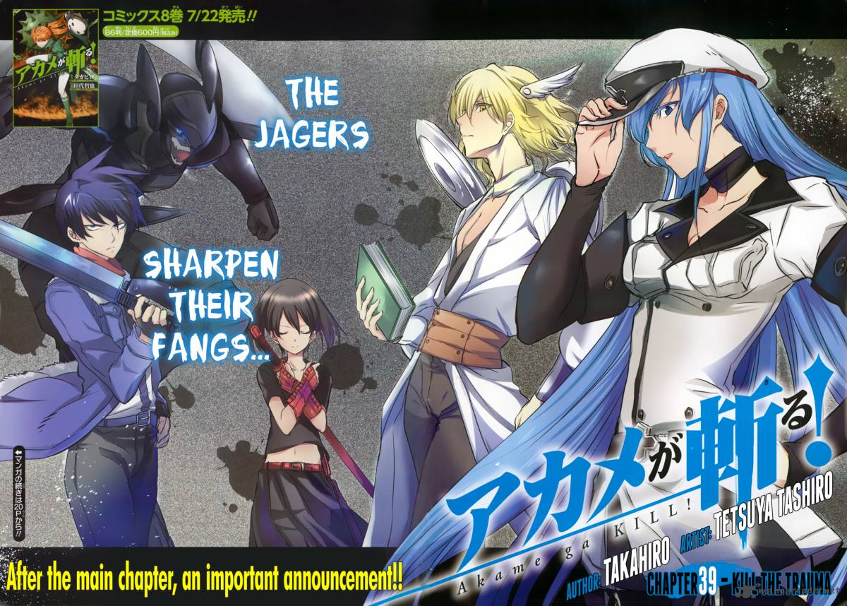 Akame Ga Kiru 39 2