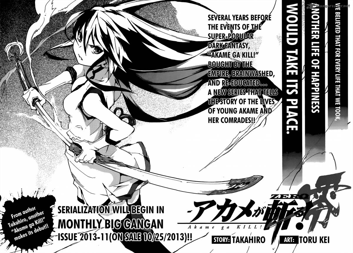 Akame Ga Kiru 39 43
