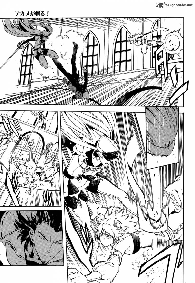Akame Ga Kiru 41 37