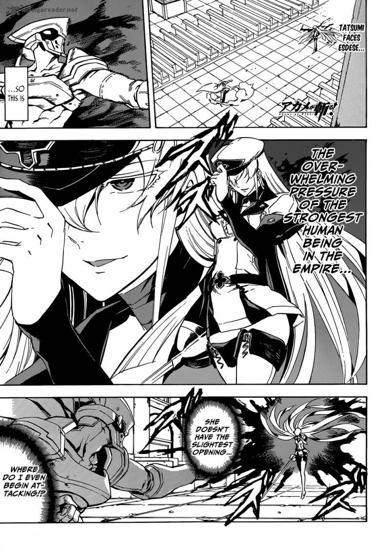 Akame Ga Kiru 42 1