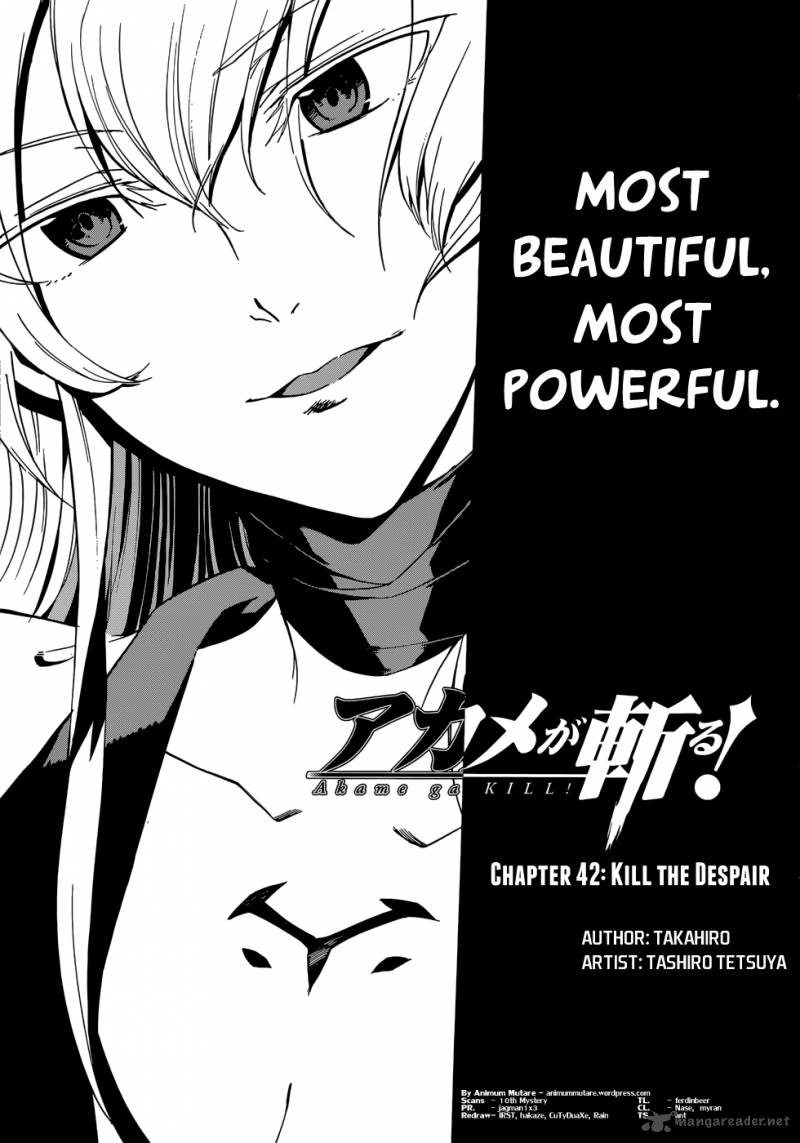 Akame Ga Kiru 42 3