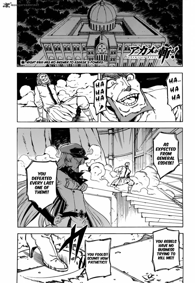 Akame Ga Kiru 43 2