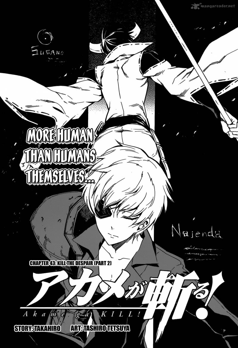 Akame Ga Kiru 43 4