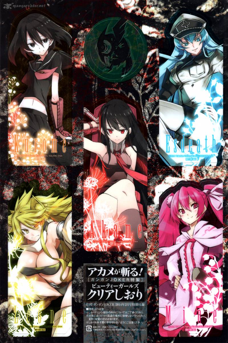 Akame Ga Kiru 46 47