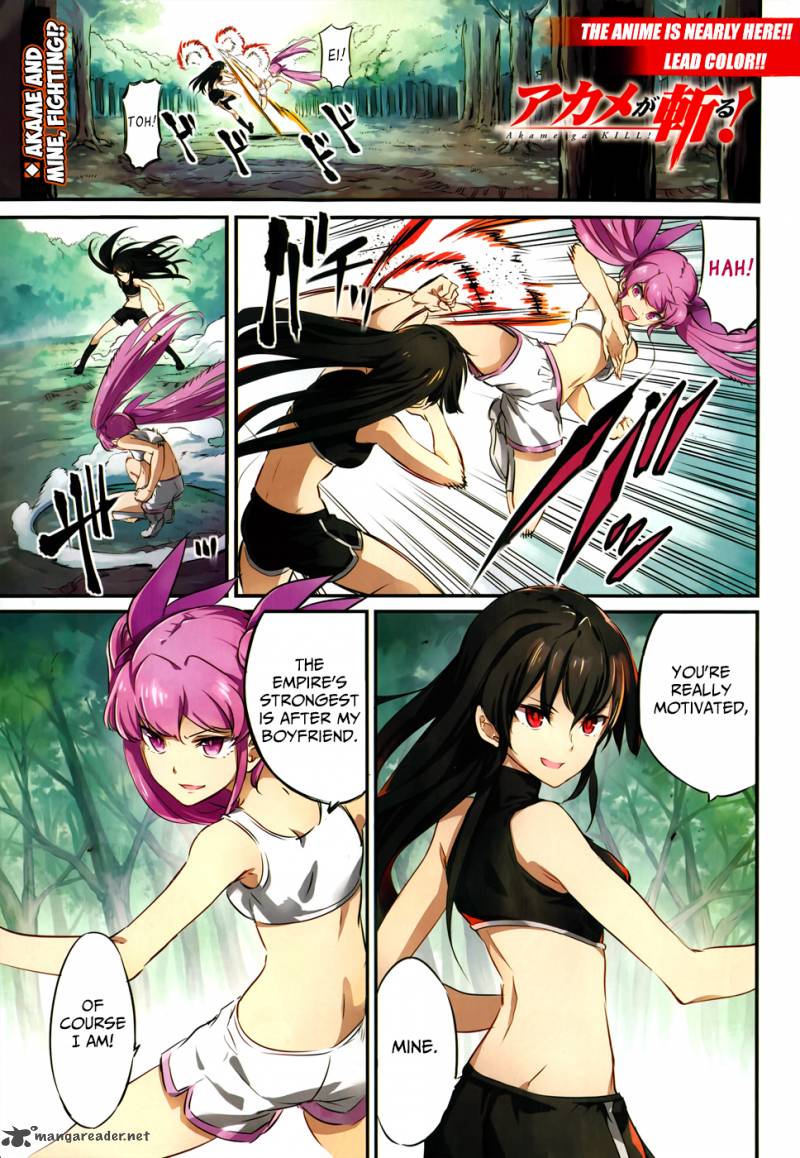 Akame Ga Kiru 50 3