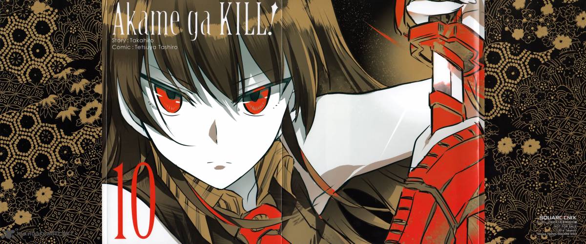 Akame Ga Kiru 50 50