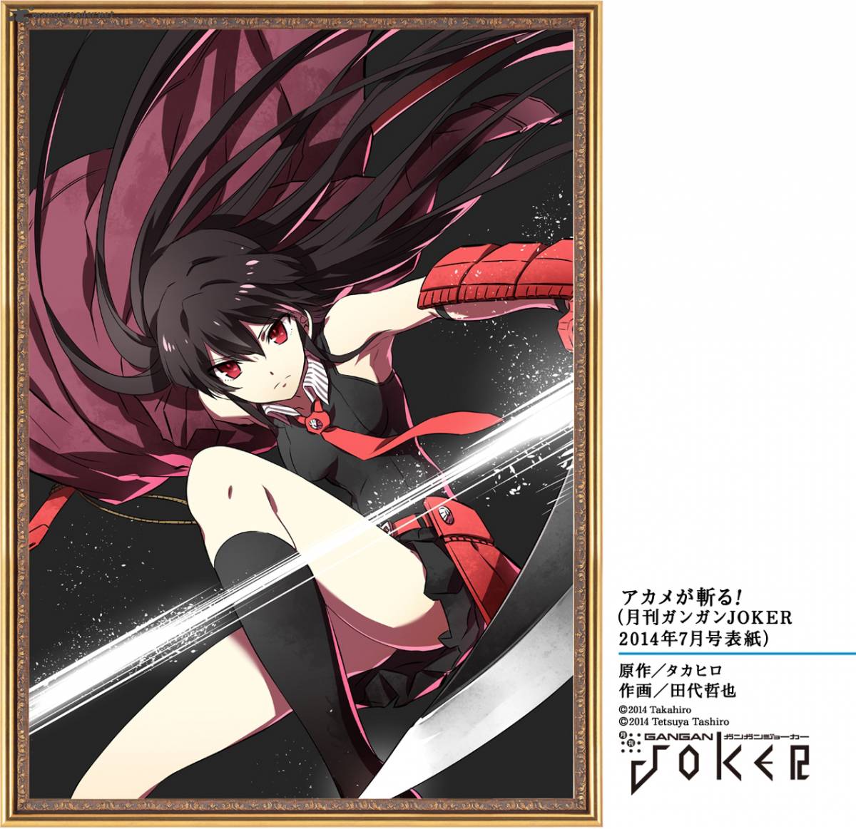 Akame Ga Kiru 50 53