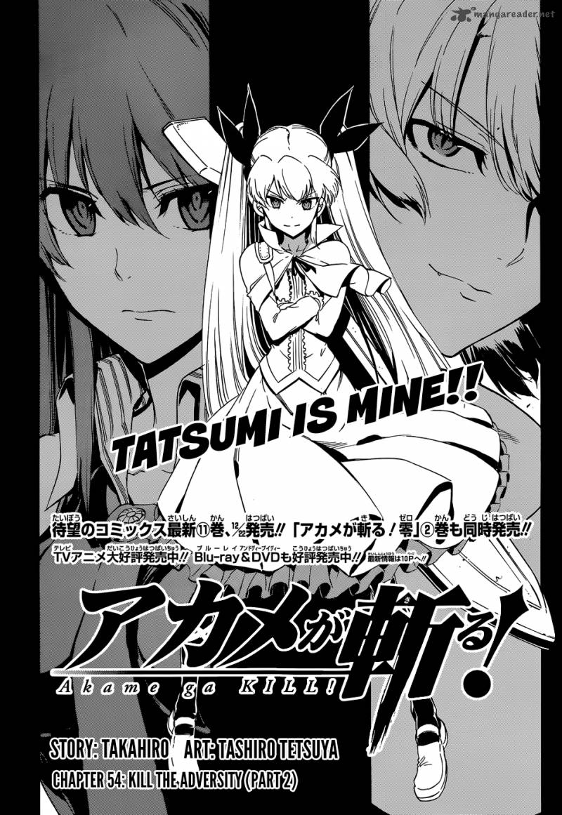 Akame Ga Kiru 54 3