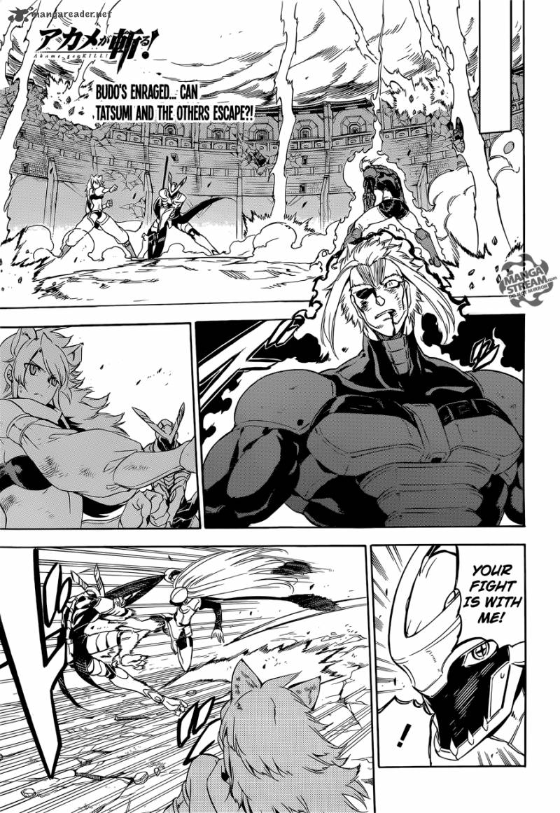 Akame Ga Kiru 56 1