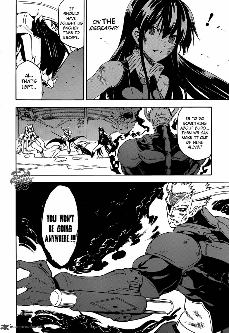 Akame Ga Kiru 56 17