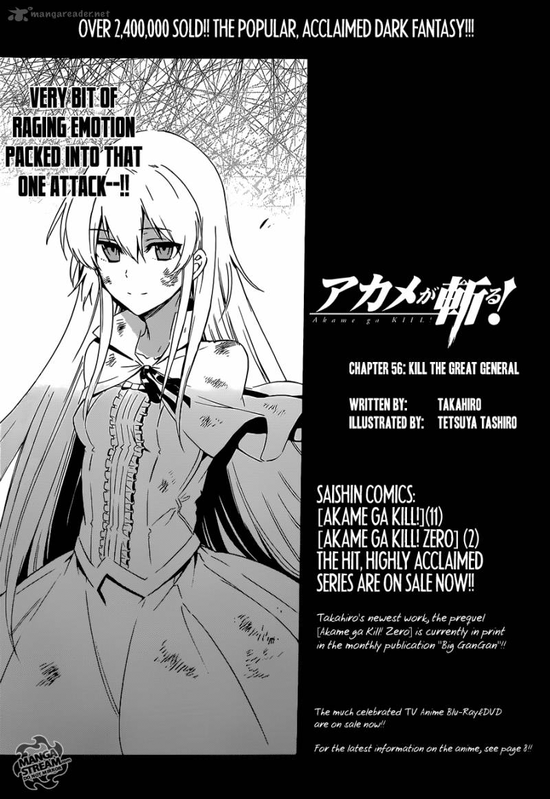 Akame Ga Kiru 56 18