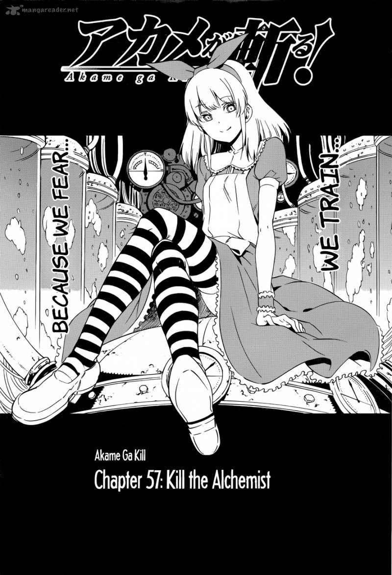 Akame Ga Kiru 57 1