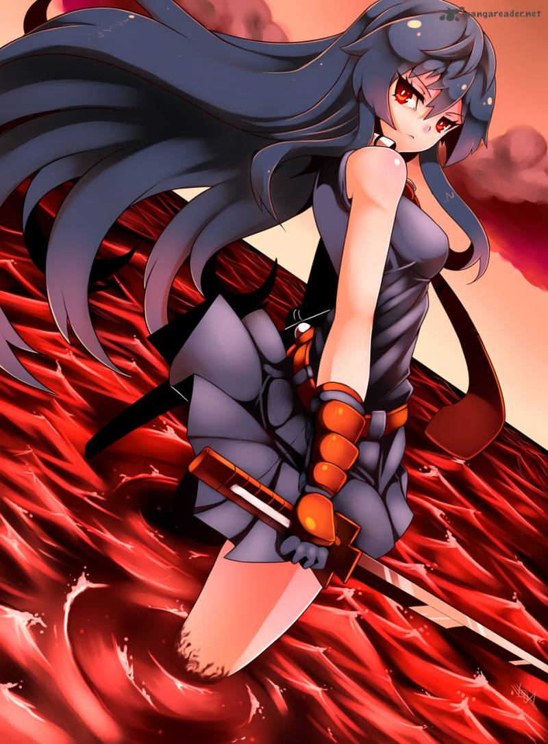 Akame Ga Kiru 57 2