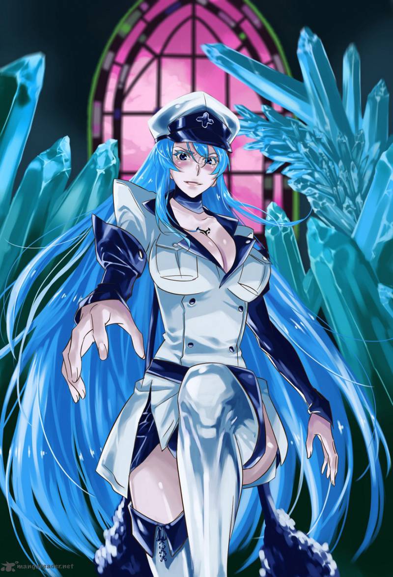 Akame Ga Kiru 57 40