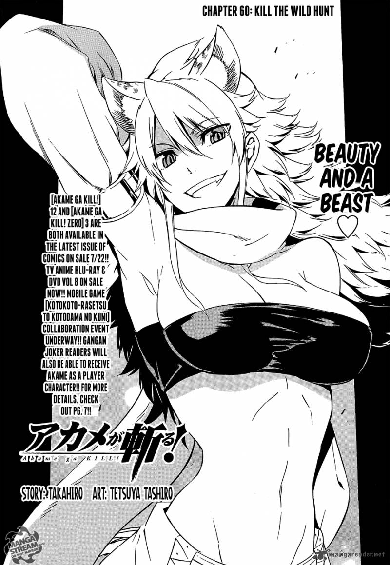 Akame Ga Kiru 60 1