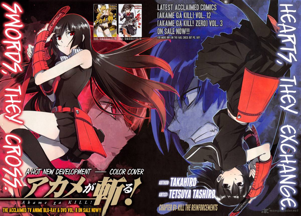 Akame Ga Kiru 61 3