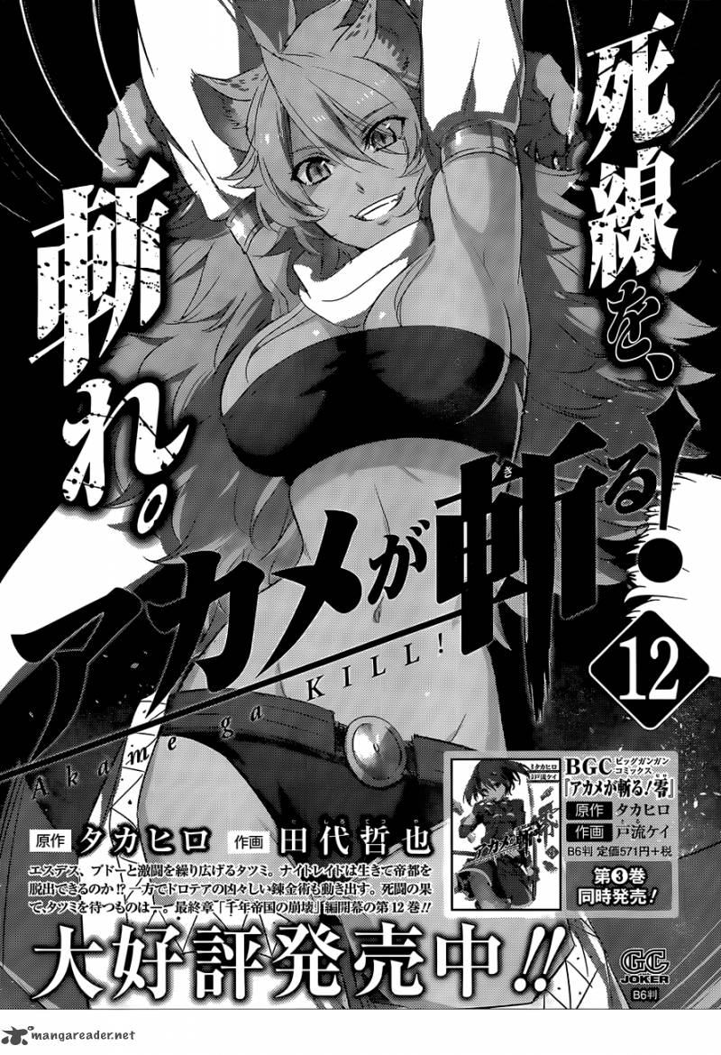 Akame Ga Kiru 62 49