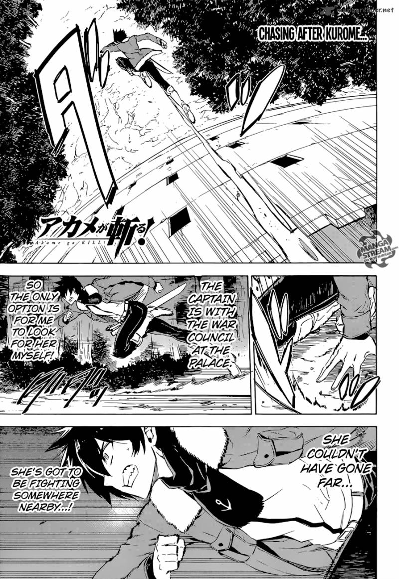 Akame Ga Kiru 65 1