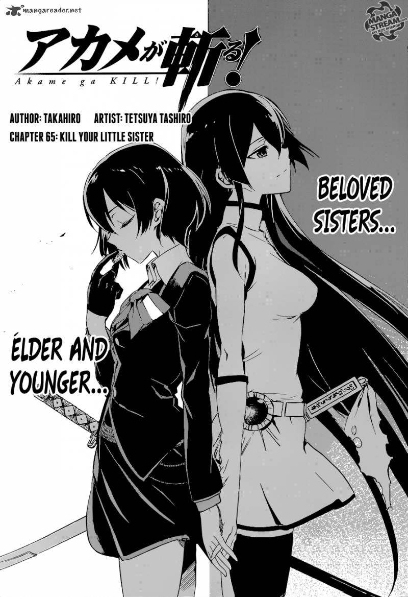 Akame Ga Kiru 65 5