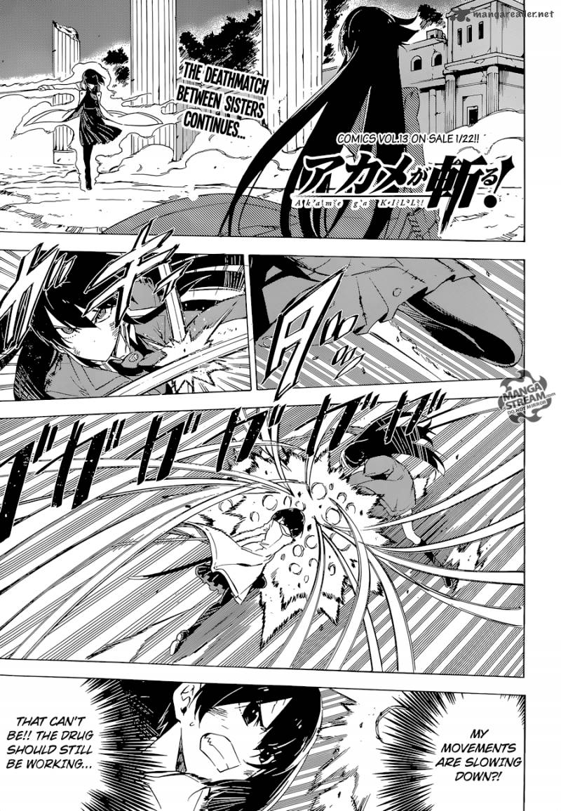 Akame Ga Kiru 66 1