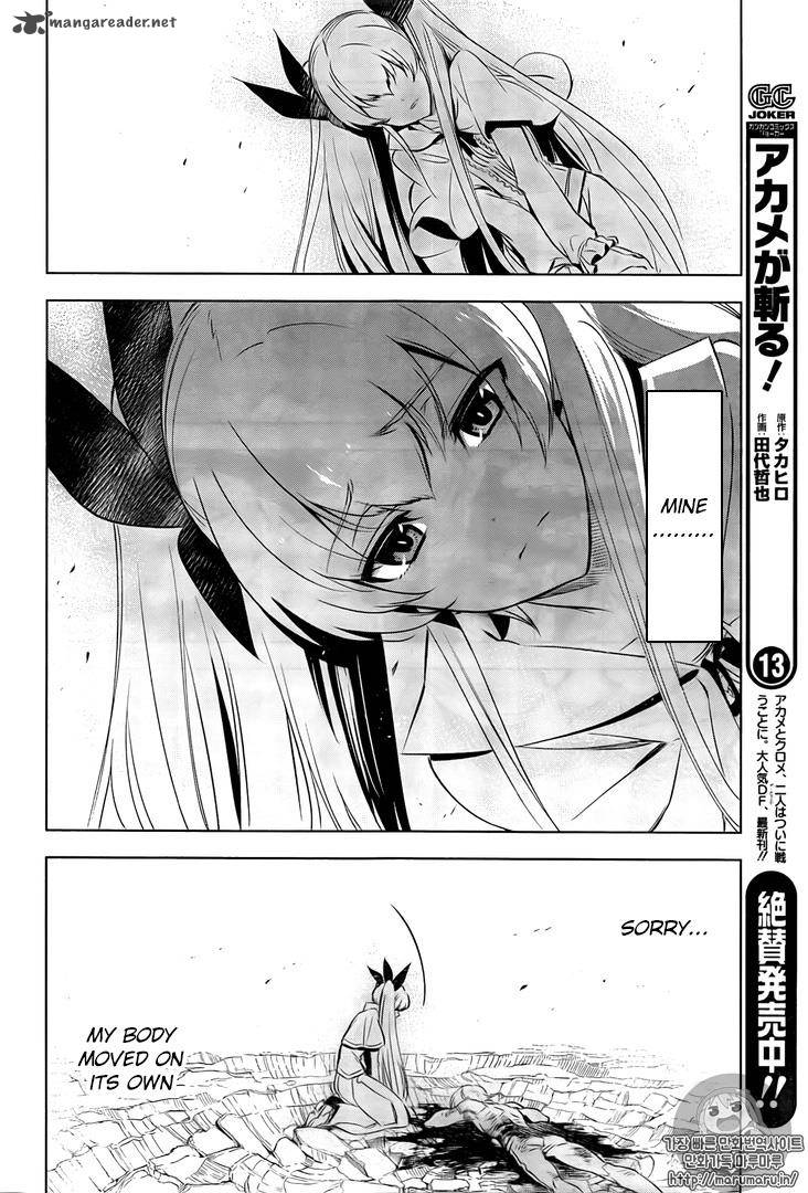 Akame Ga Kiru 73 20
