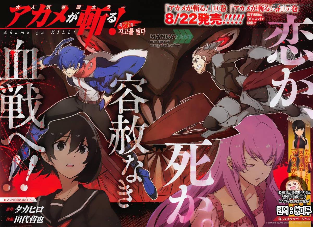 Akame Ga Kiru 73 3