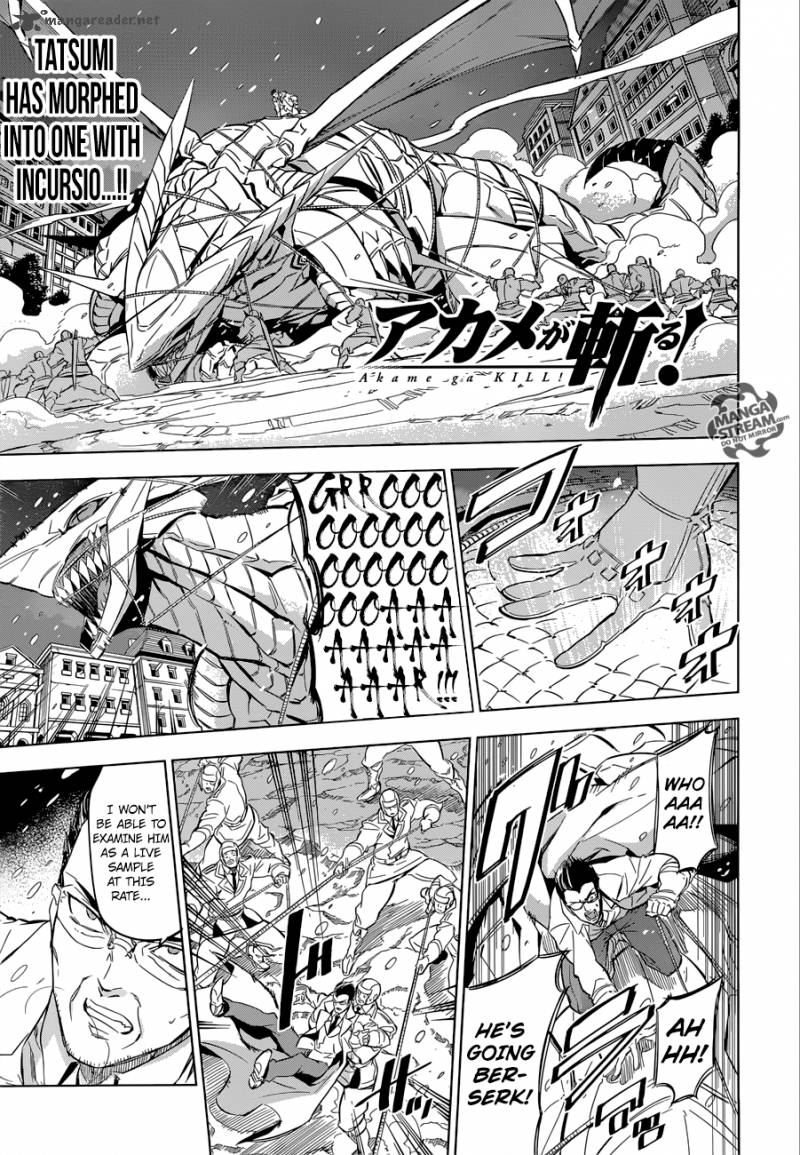Akame Ga Kiru 76 1