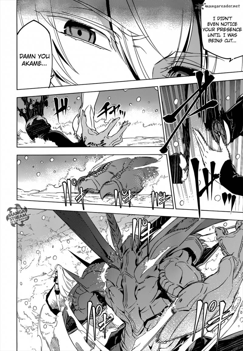 Akame Ga Kiru 76 38