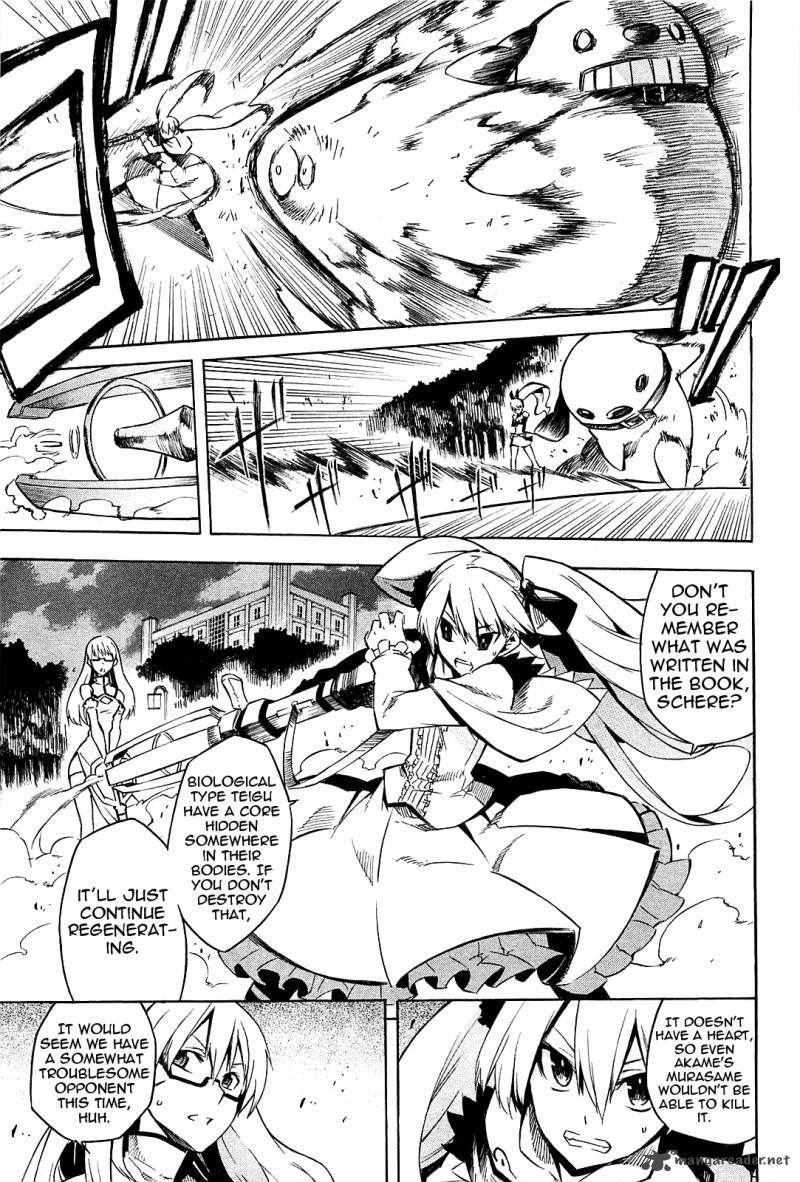 Akame Ga Kiru 9 13