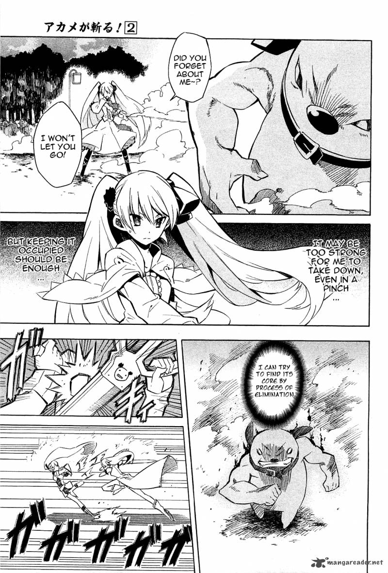 Akame Ga Kiru 9 23