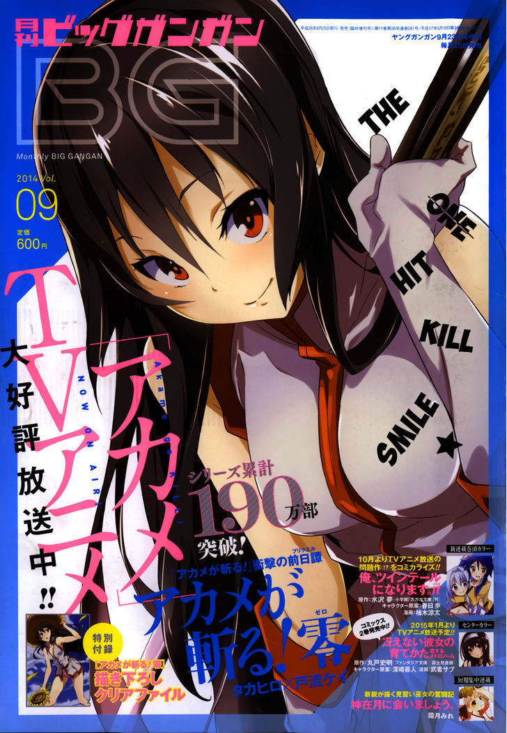Akame Ga Kiru Zero 10 1