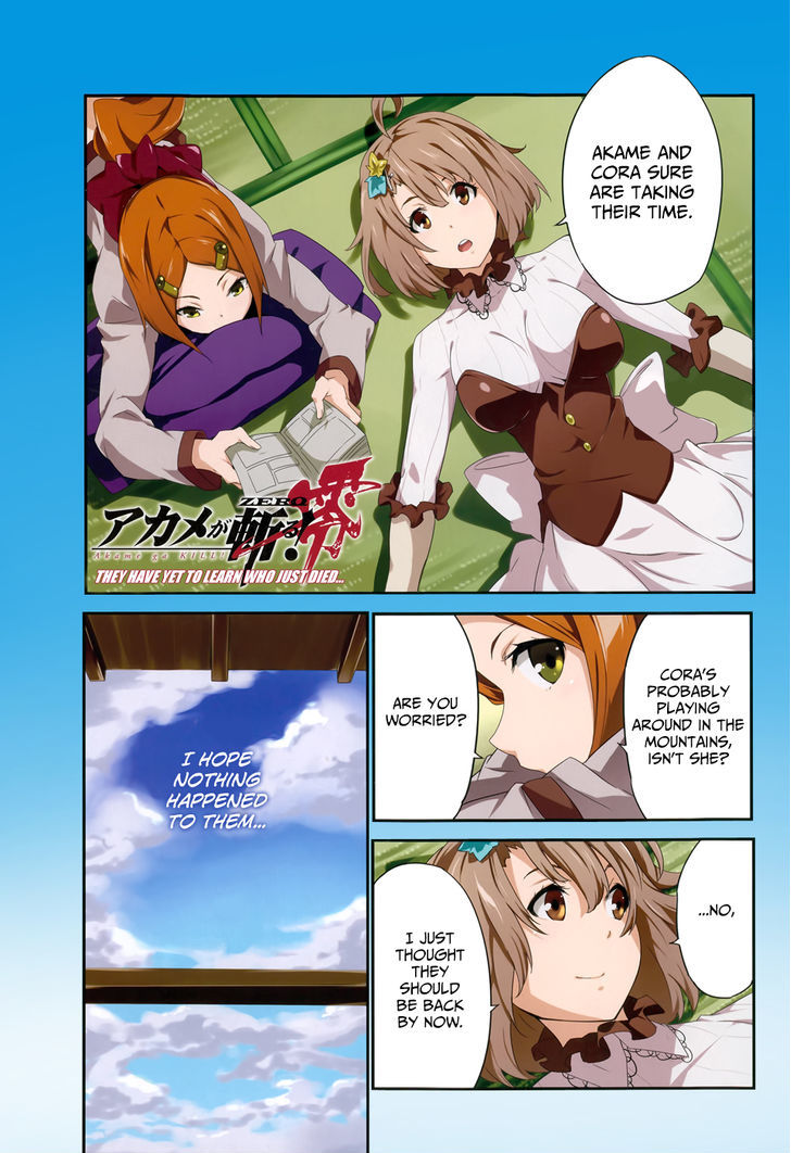 Akame Ga Kiru Zero 13 2