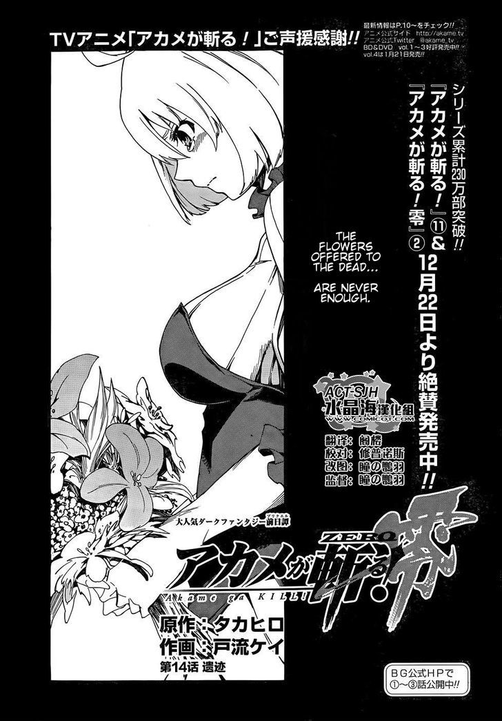 Akame Ga Kiru Zero 14 1
