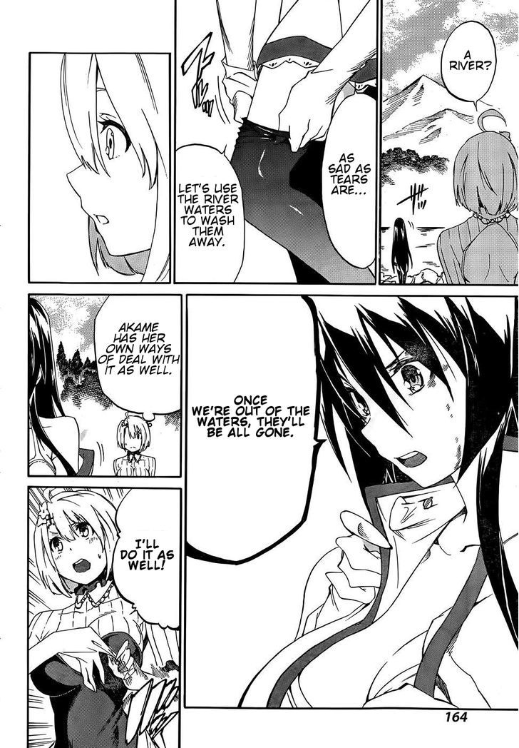 Akame Ga Kiru Zero 14 14