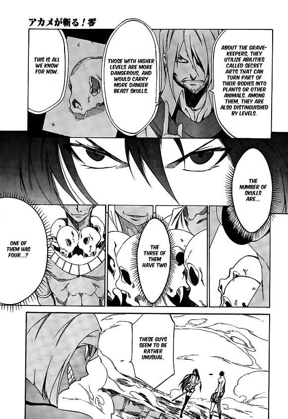 Akame Ga Kiru Zero 16 20