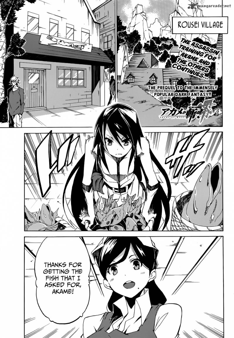 Akame Ga Kiru Zero 3 2