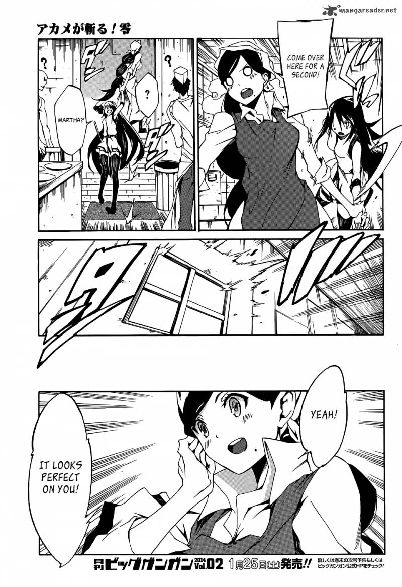 Akame Ga Kiru Zero 3 4