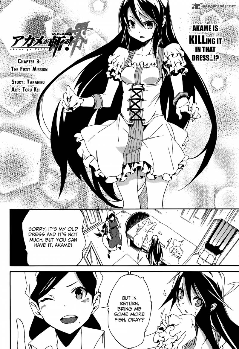 Akame Ga Kiru Zero 3 5