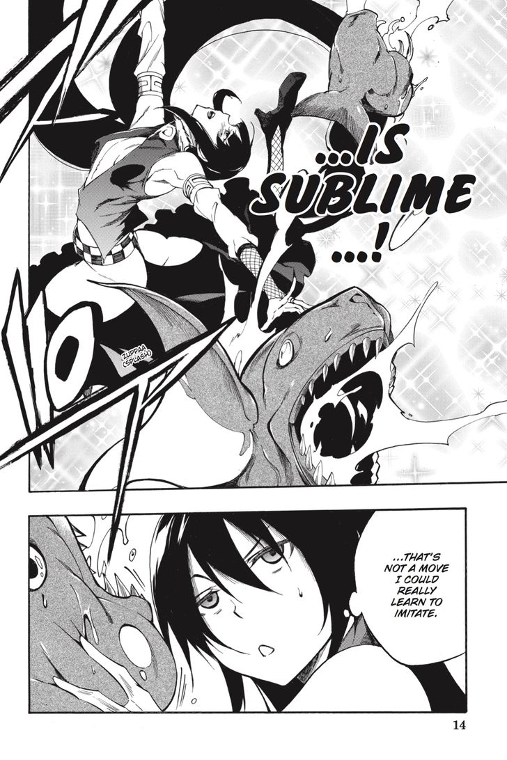 Akame Ga Kiru Zero 38 14
