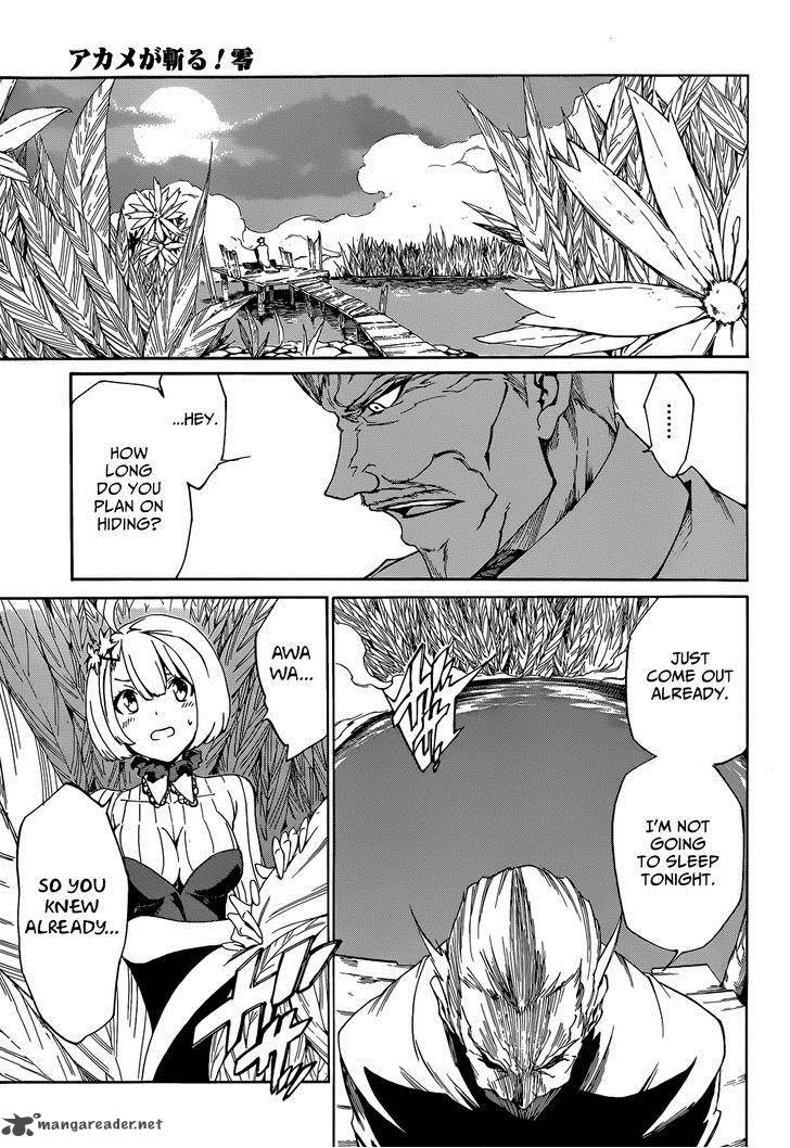 Akame Ga Kiru Zero 4 10