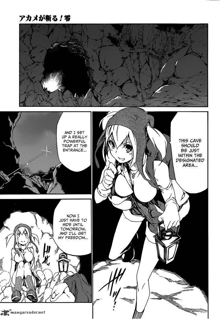 Akame Ga Kiru Zero 4 6
