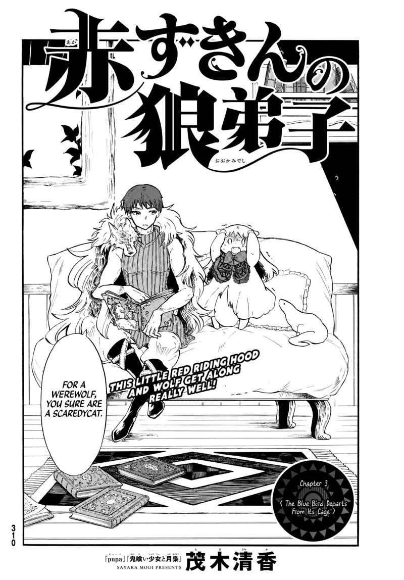 Akazukin No Ookami Deshi 3 2