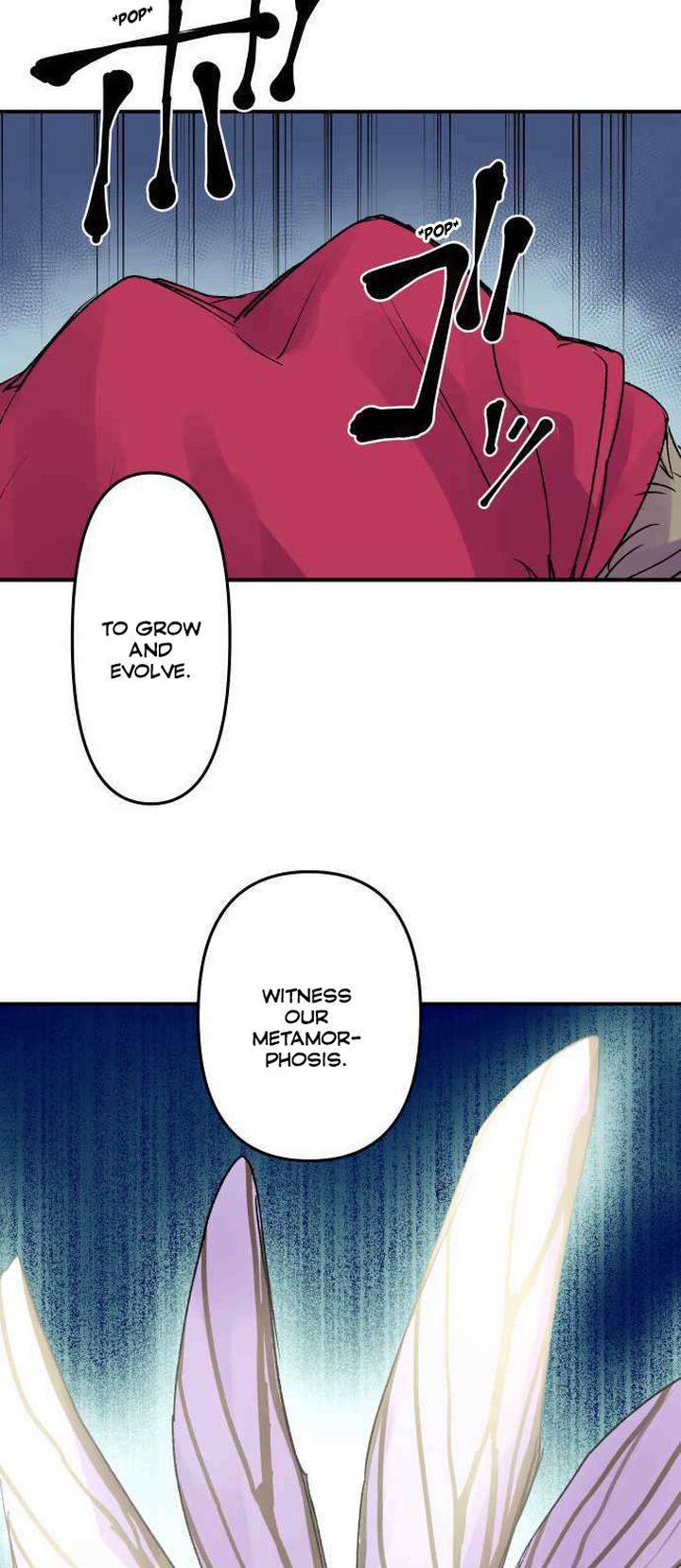 Ake No Tobari 230 23