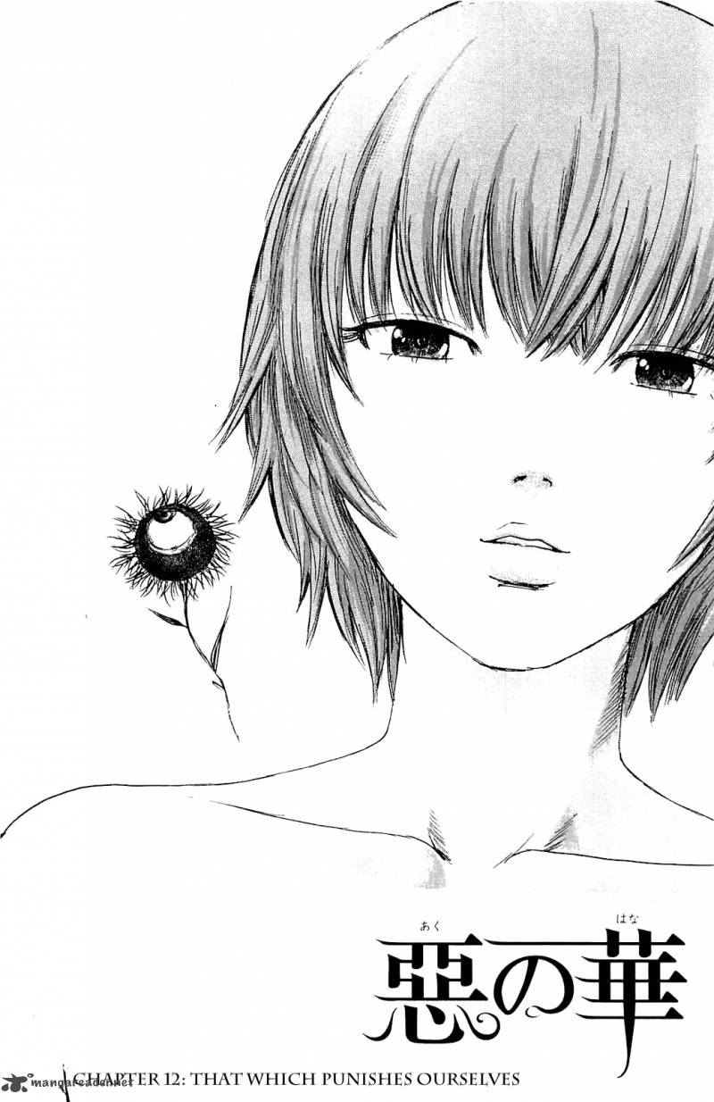 Aku No Hana 12 1